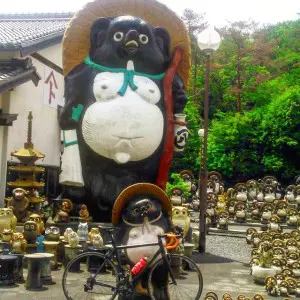 tanuki in shigaraki