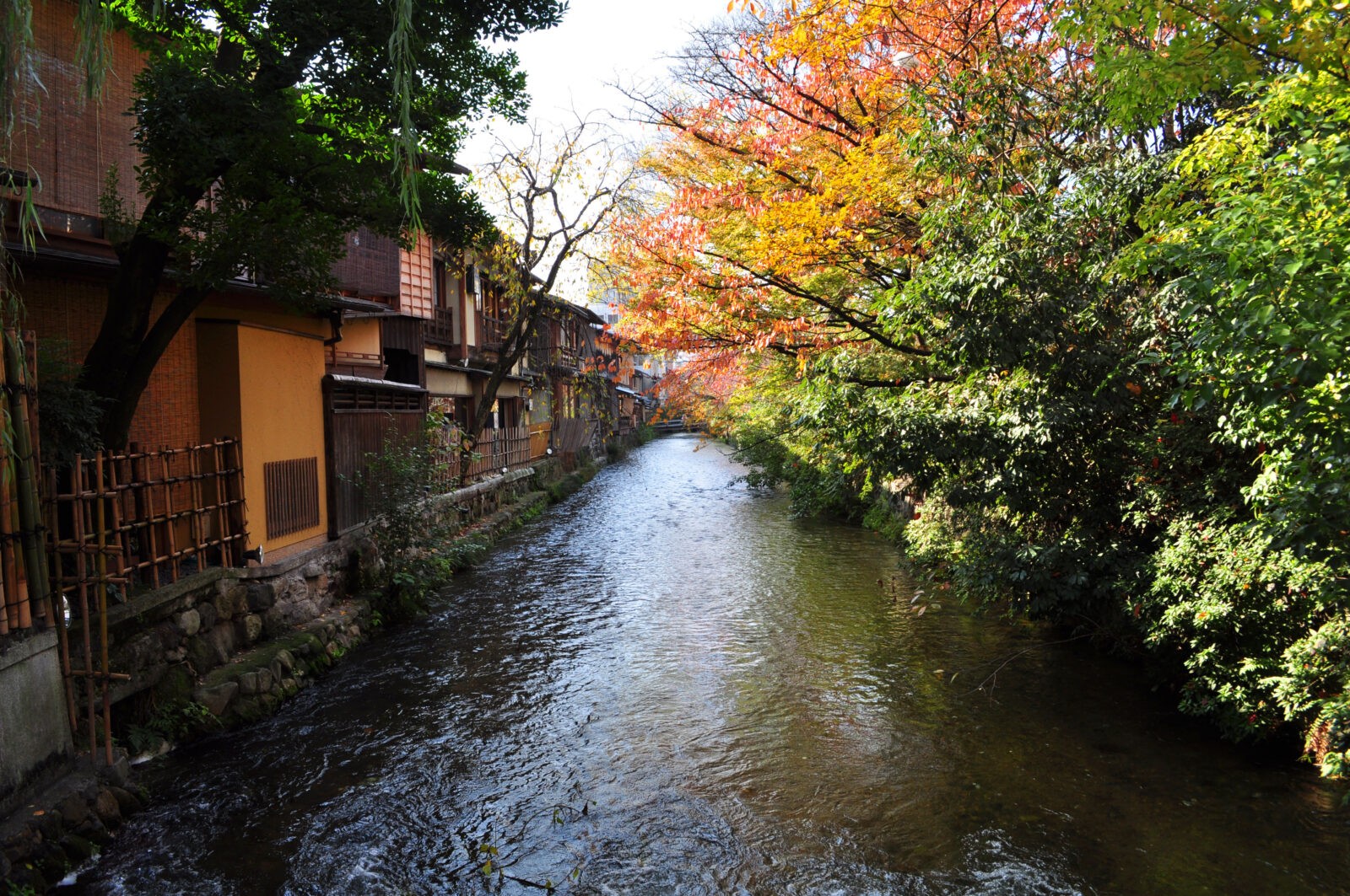 New Kyoto City Cycling Tour!