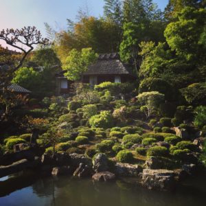 NORU KYOTO MAY RECAP